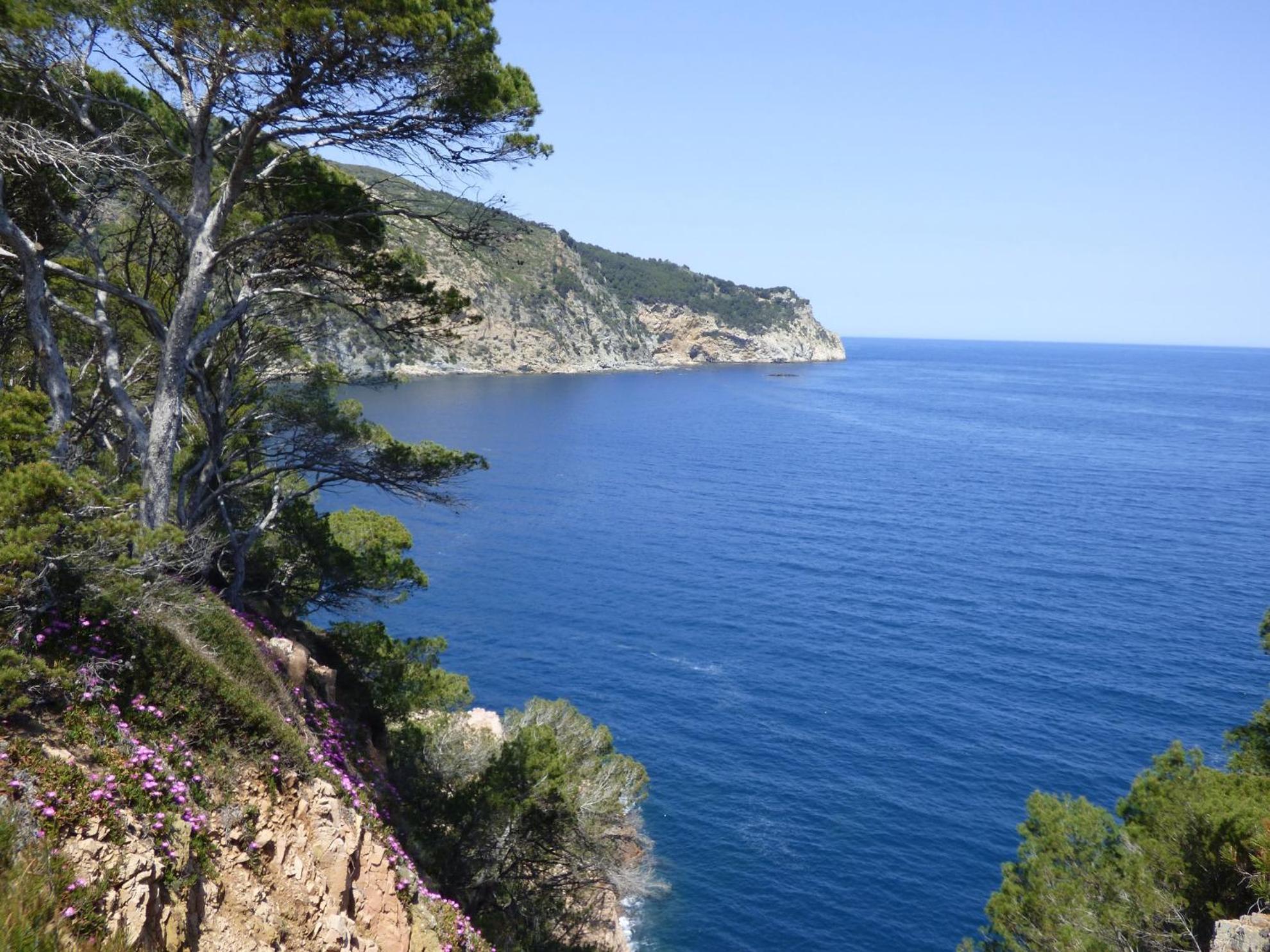 "La Terrasse De La Mer 8" -Climatisation-Wifi-Bbq -Piscine-Parking Begur Buitenkant foto