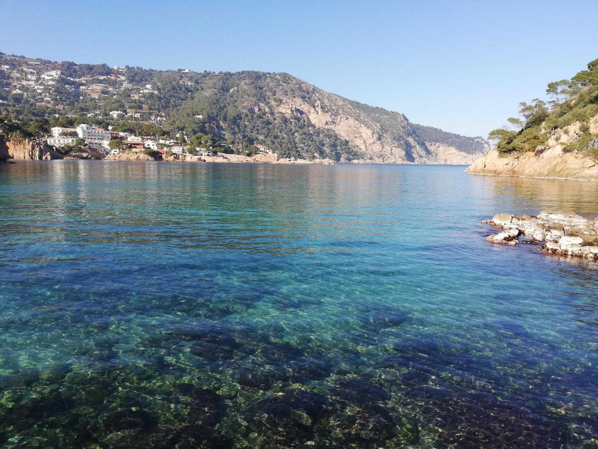 "La Terrasse De La Mer 8" -Climatisation-Wifi-Bbq -Piscine-Parking Begur Buitenkant foto